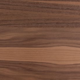 species_walnut-1
